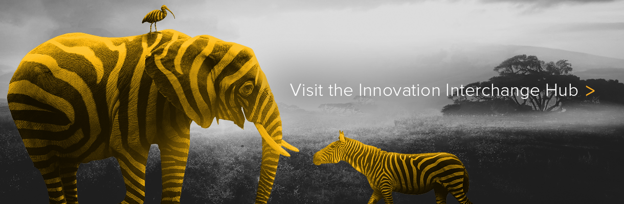 Click here to visit the Innovation Interchange Hub
