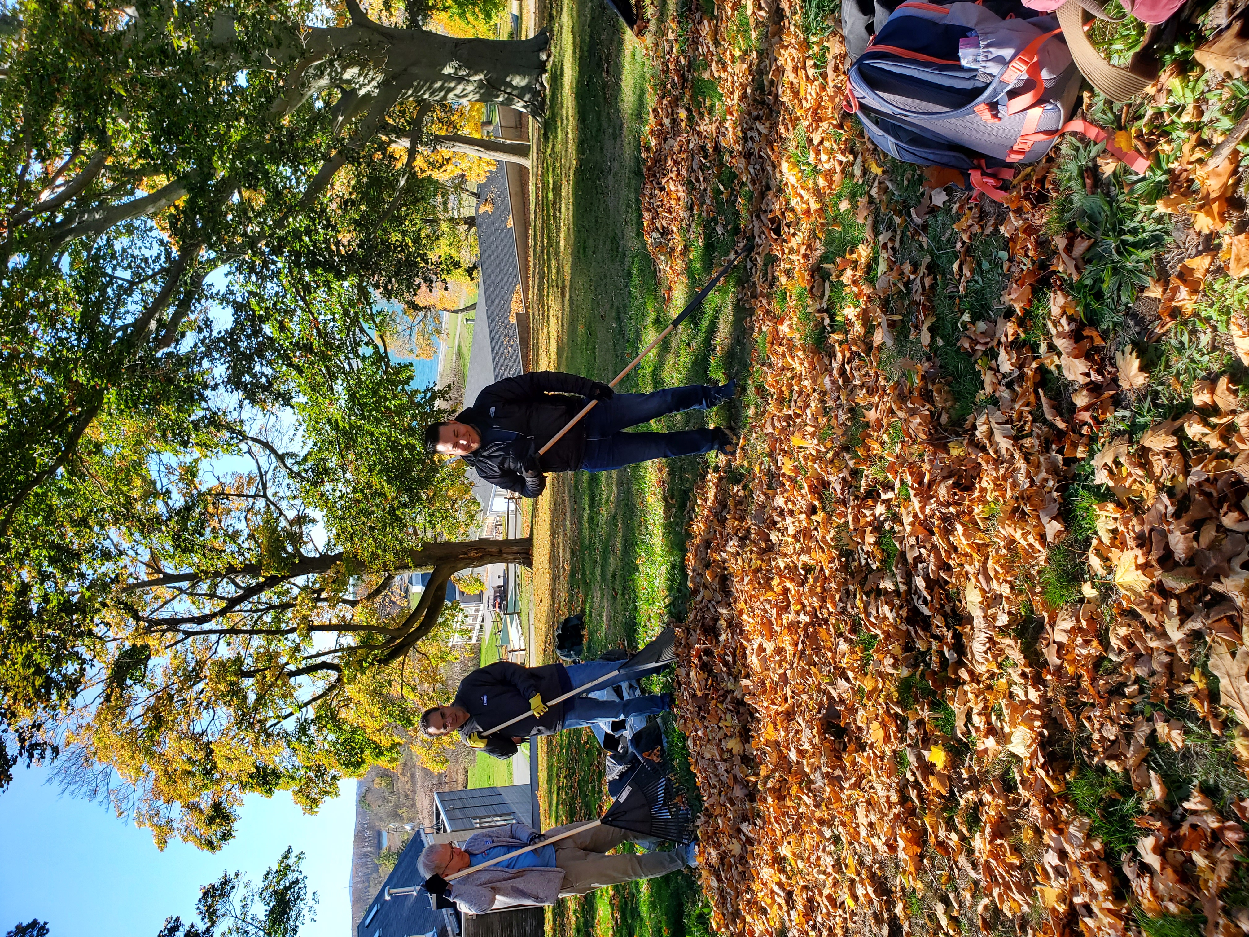 Members of our Boston office supported Thompson Island during a day of service. Here, they are raking leaves.