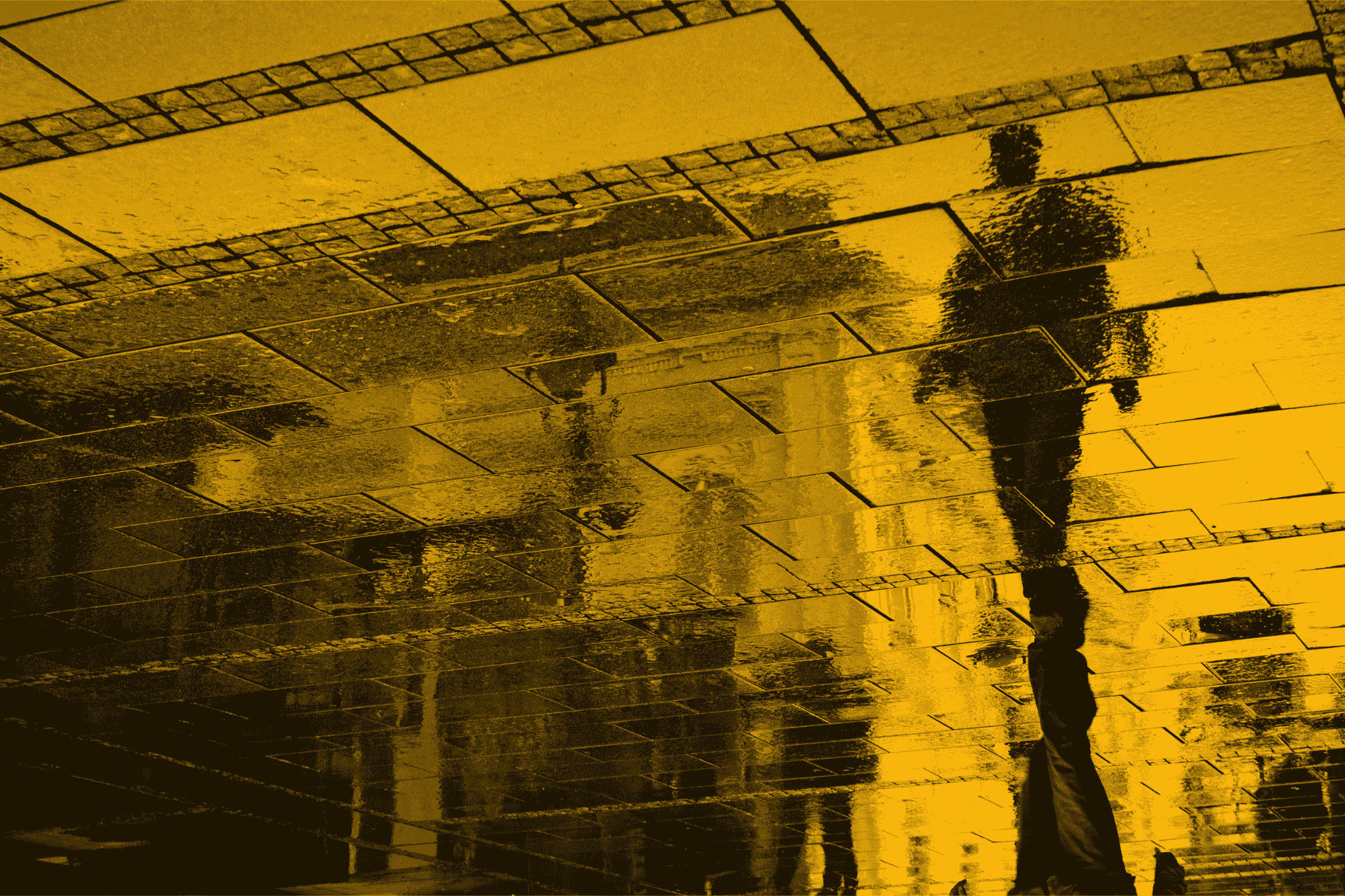 What's new in employment law: September 2026
