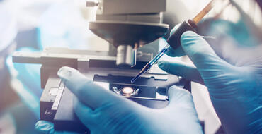 A lab technician using a microscope