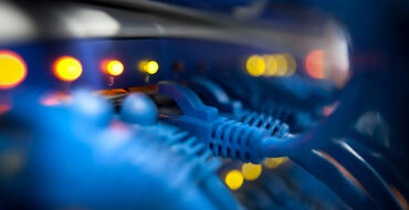 Line of network cables 