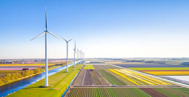 Wind turbines over colourful tulip fields next to a waterway under a clear blue sky, showcasing renewable energy and sustainable agriculture in a rural landscape.