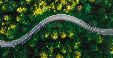 A winding road meanders through a lush green forest with vibrant yellow foliage, showcasing a serene aerial view of nature's intersection with infrastructure.