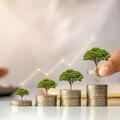 Person is typing into calculator, as four groups of coins increasing in height are shown in front of them. On top of each pile of coins is a small tree, and a line moves upward with an arrow indicating increase. Shutterstock ID 1879675894