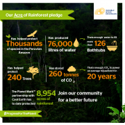 Our acre of rainforest pledge