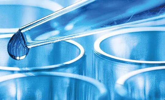 Banner - Sectors - Sub-sectors - Biotechnology and Life Sciences