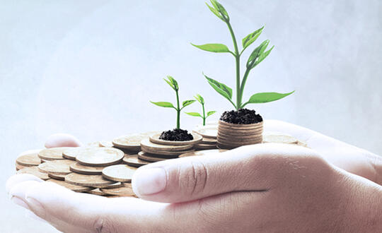 Impact Economy