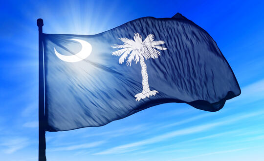 South Carolina Flag