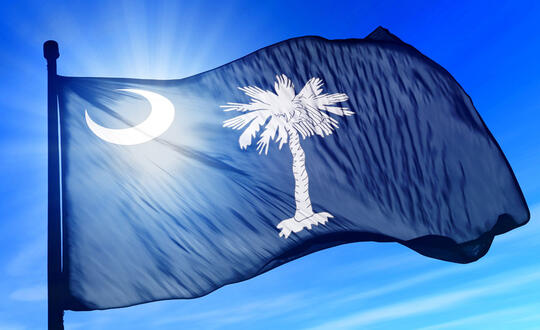 South Carolina State Flag - Shutterstock 157680278