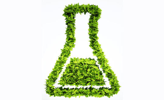Cannabis Research
