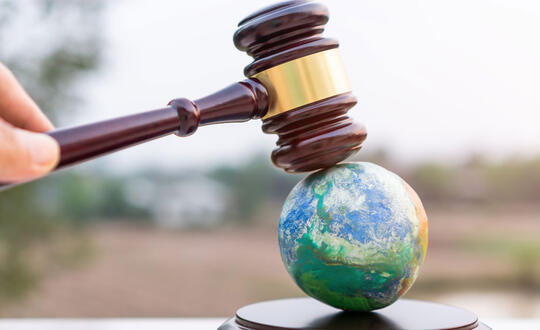 ESG and Business Litigation