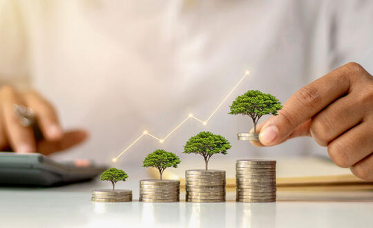 Person is typing into calculator, as four groups of coins increasing in height are shown in front of them. On top of each pile of coins is a small tree, and a line moves upward with an arrow indicating increase. Shutterstock ID 1879675894