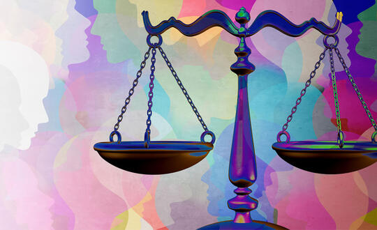 Diversity in law