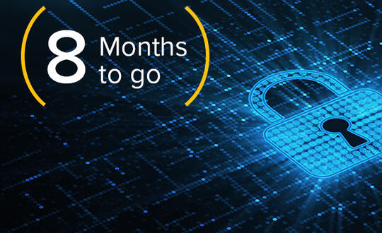 Countdown to State Law Privacy Compliance: 8 Months to Go 