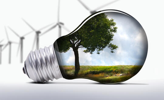 A lightbulb showing a tree and other greenery where the lightbulb typically is lays in front of wind turbines