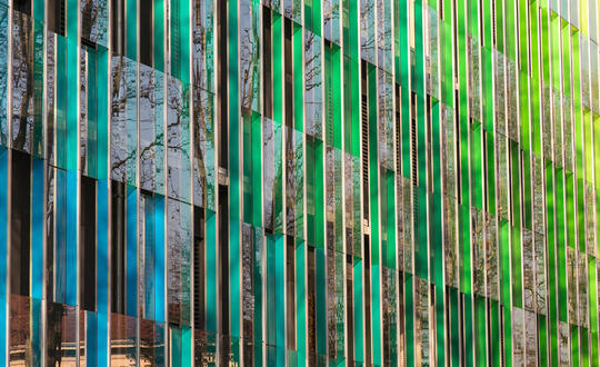 Diversity and Inclusion