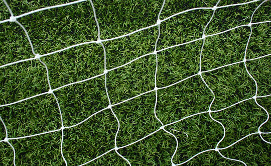 Soccer net above a grassy field