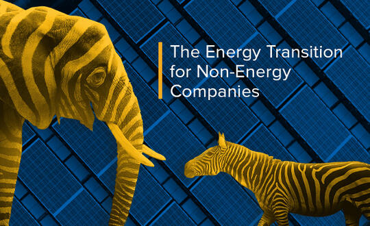 A zebra and elephant with stripes and a yellow overlay stand in front of a blue blocked background with the text, "The Energy Transition for Non-Energy Companies"