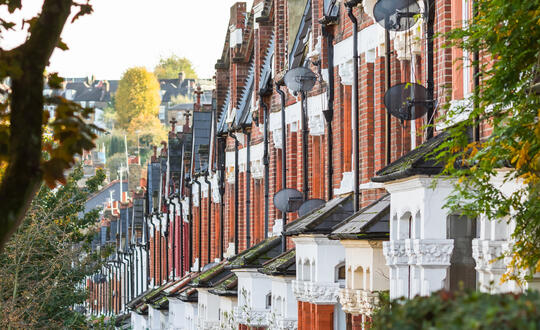 BNG and implications for affordable housing