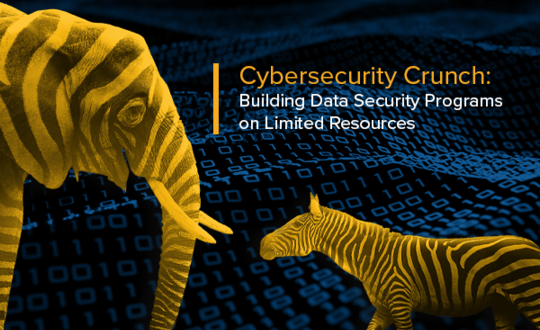 Cybersecurity Crunch: Building Strong Data Security Programs with Limited Resources