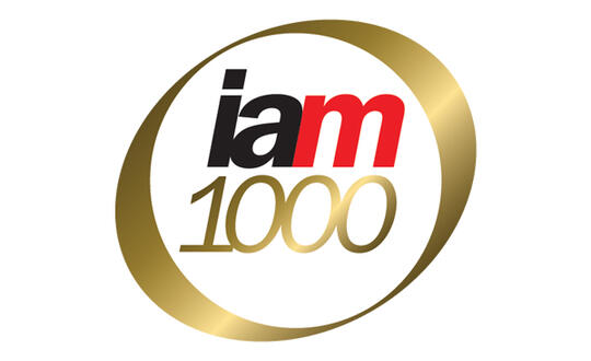 IAM 1000