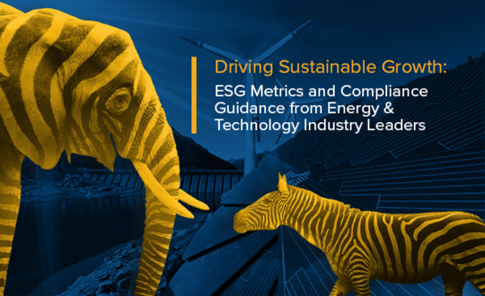 Driving Sustainable Growth: ESG Metrics Guidance from Energy & Technology Sectors