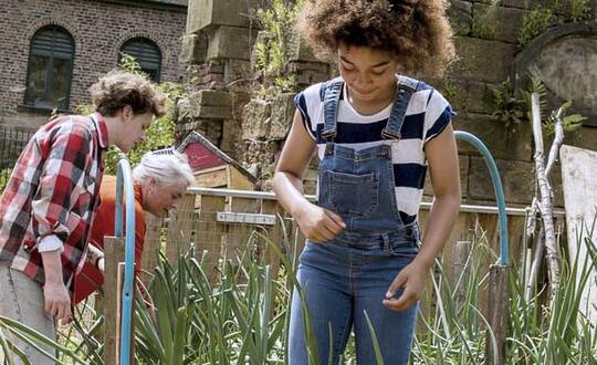 Two people gardening in urban allotment, woman examining plant leaves, man digging with spade, sunny day, community garden project, sustainable living, urban agriculture.
