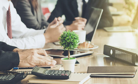 Business professionals working at desks with laptops and calculators, a small potted plant in focus for green office environment concept, teamwork in modern office atmosphere.