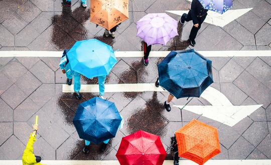 Neurodiversity and me: a Womble Bond Dickinson lawyer's experience