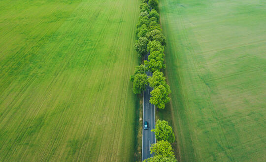 Aerial view of a car driving on a country road flanked by lush green trees, showcasing rural British countryside and tranquil travel routes.