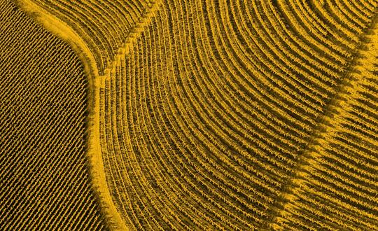 Aerial shot of farmland crops and fields