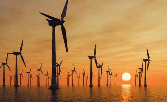 The new queue management process: go like the wind or gone with the wind?