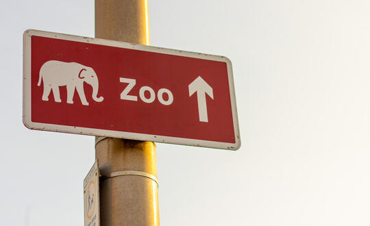 High Court hands down judgment on lease convenants case for Tropical Zoo