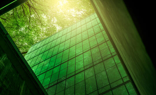 Green building and tree