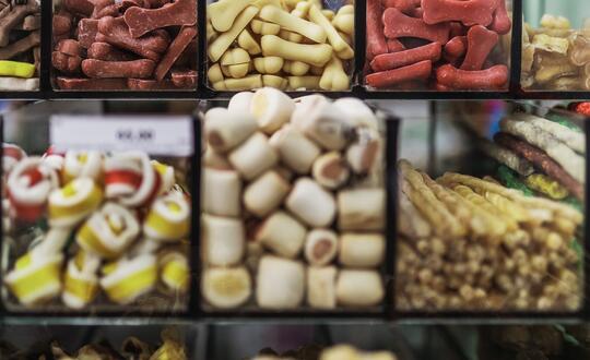 Pets & Friends retail chain sold to PSR Trading following support from WBD