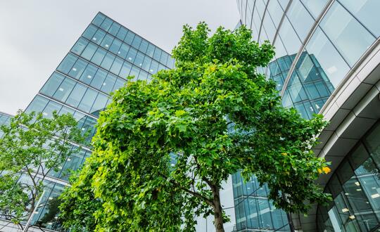 Womble Bond Dickinson retains EcoVadis Gold