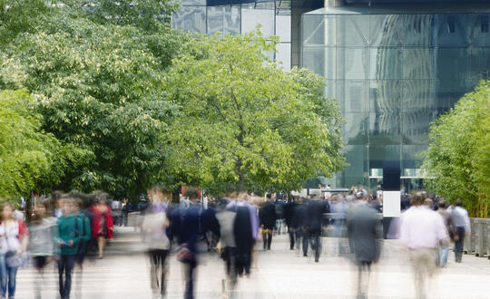 Biodiversity net gain: the planning lawyer's view