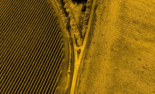 Aerial view of road running through crop fields