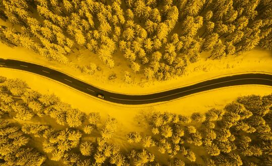 Bird's eye view of car driving down forest road. Photo is edited in yellow wash.