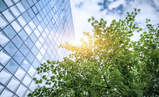 Sunlight filtering through green leaves with modern glass office building facade in urban environment, depicting eco-friendly architecture and greener cities.