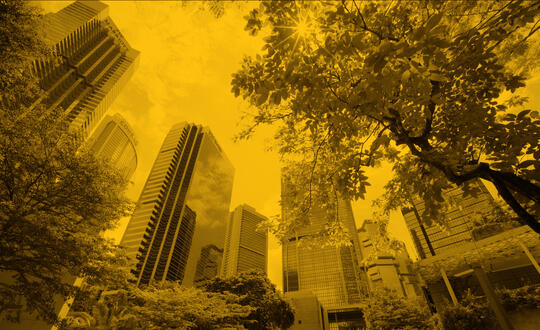 Trees overlooking corporate buildings with yellow treatment 