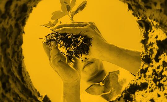 Upward angle of person planting in soil