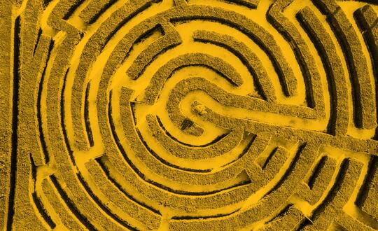 Bird's eye view of hedge maze