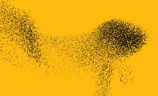Murmuration of birds against yellow background
