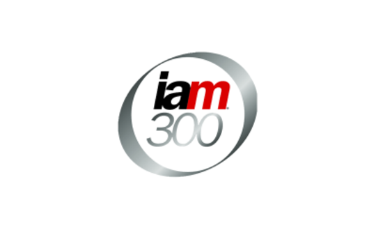 IAM 300 Logo