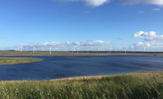 Offshore wind turbines and grass bank