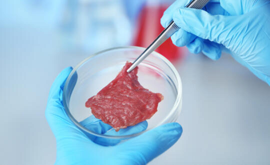 Cultured meat